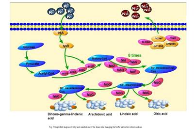 新建 PPTX 演示文稿