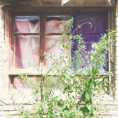 一张张老照片,一段段饱含感情的文字,勾起了很多网友的回忆