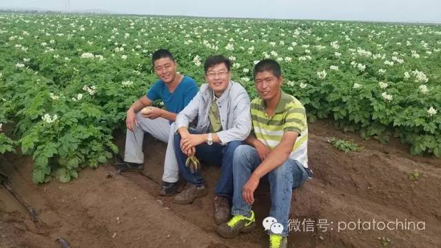 创业团队田间的喜悦