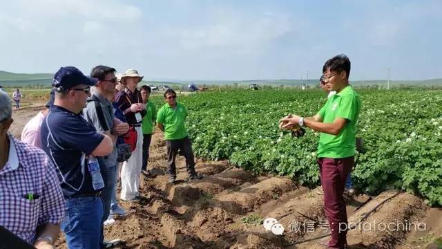 老外也听得很认真