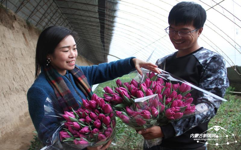 12月20日,在一家花卉基地的大棚内花香四溢,几位市民正在选购郁金香