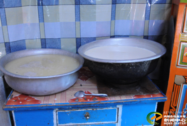 图4 自然发酵酸牛乳